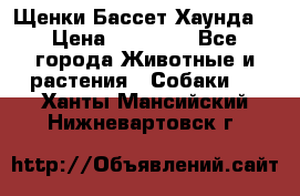 Щенки Бассет Хаунда  › Цена ­ 25 000 - Все города Животные и растения » Собаки   . Ханты-Мансийский,Нижневартовск г.